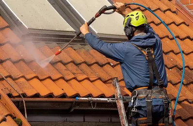 Démoussage et hydrofuge de toiture à Landec